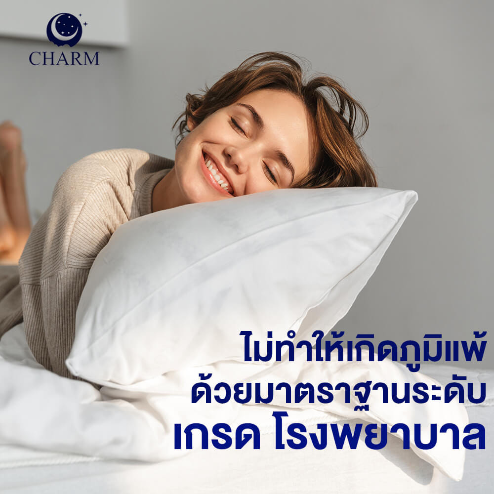 หมอนสุขภาพ CHARM HYPNOSIS ไมโครเจล 700 กรัม ขนาด 19